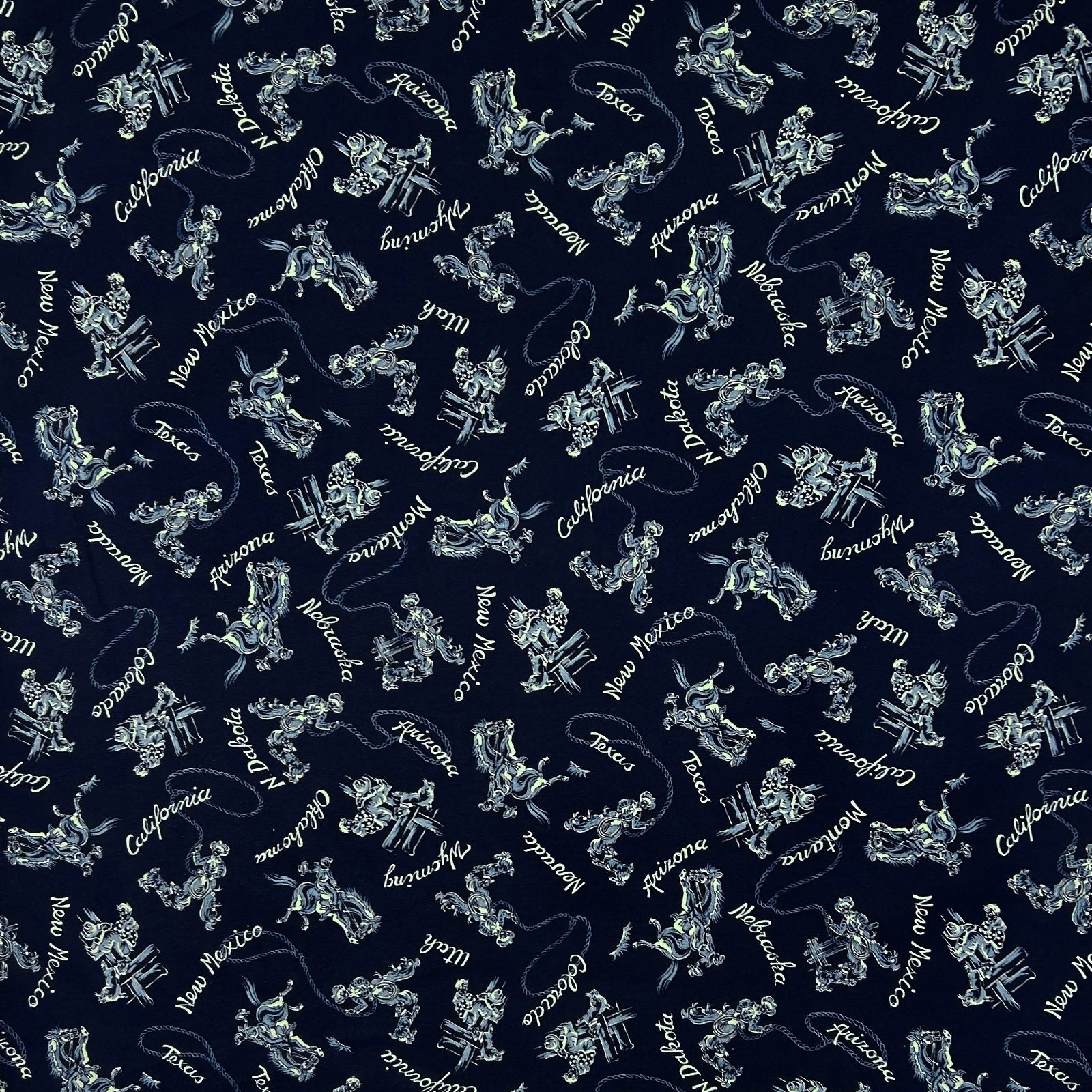 Cowboys & States Navy Western Cotton Bandana