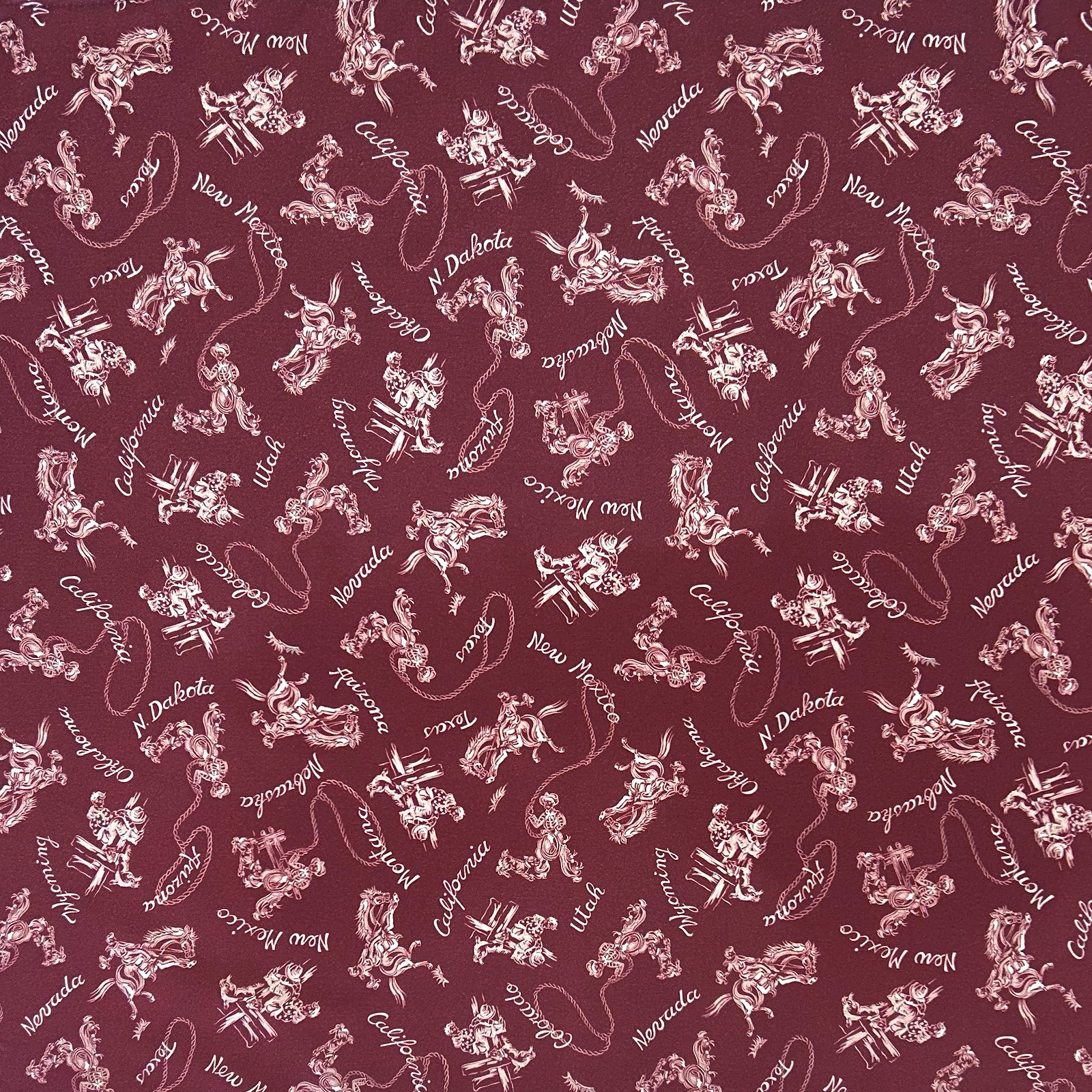 Cowboys & States Red Western Cotton Bandana