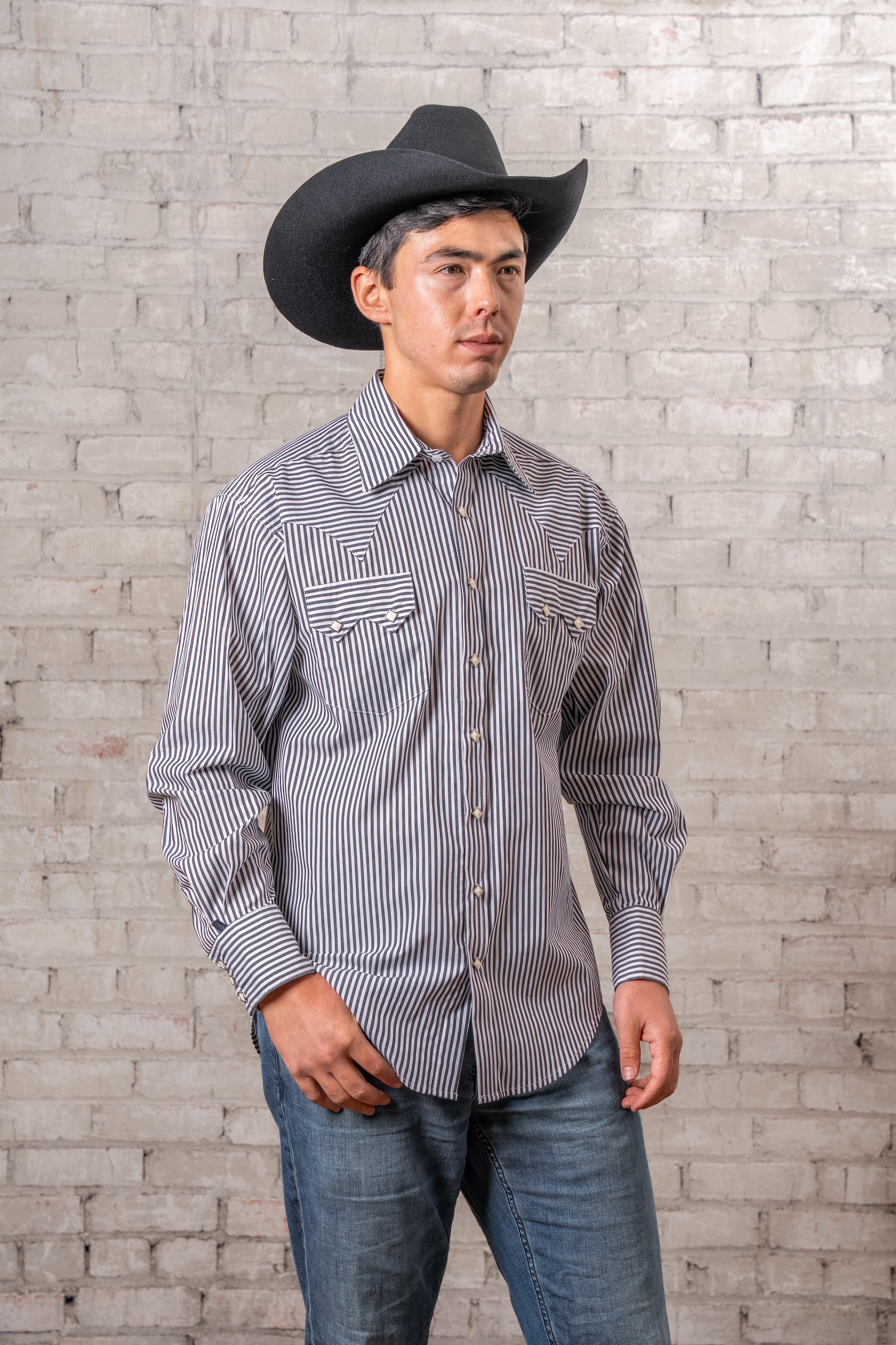 Men's Fine Black Stripe Western Shirt