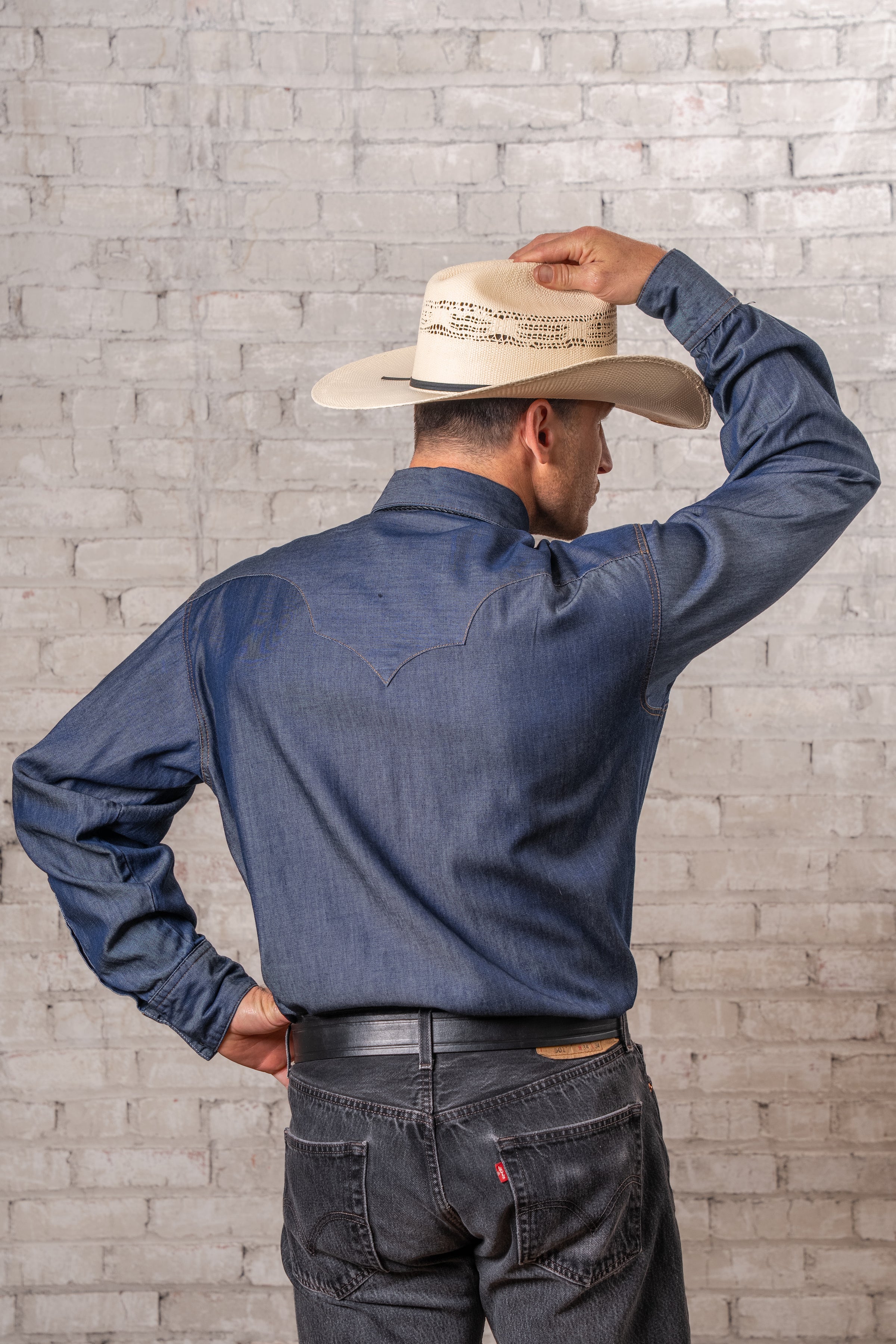 Men's Tencel Denim Sawtooth Western Shirt