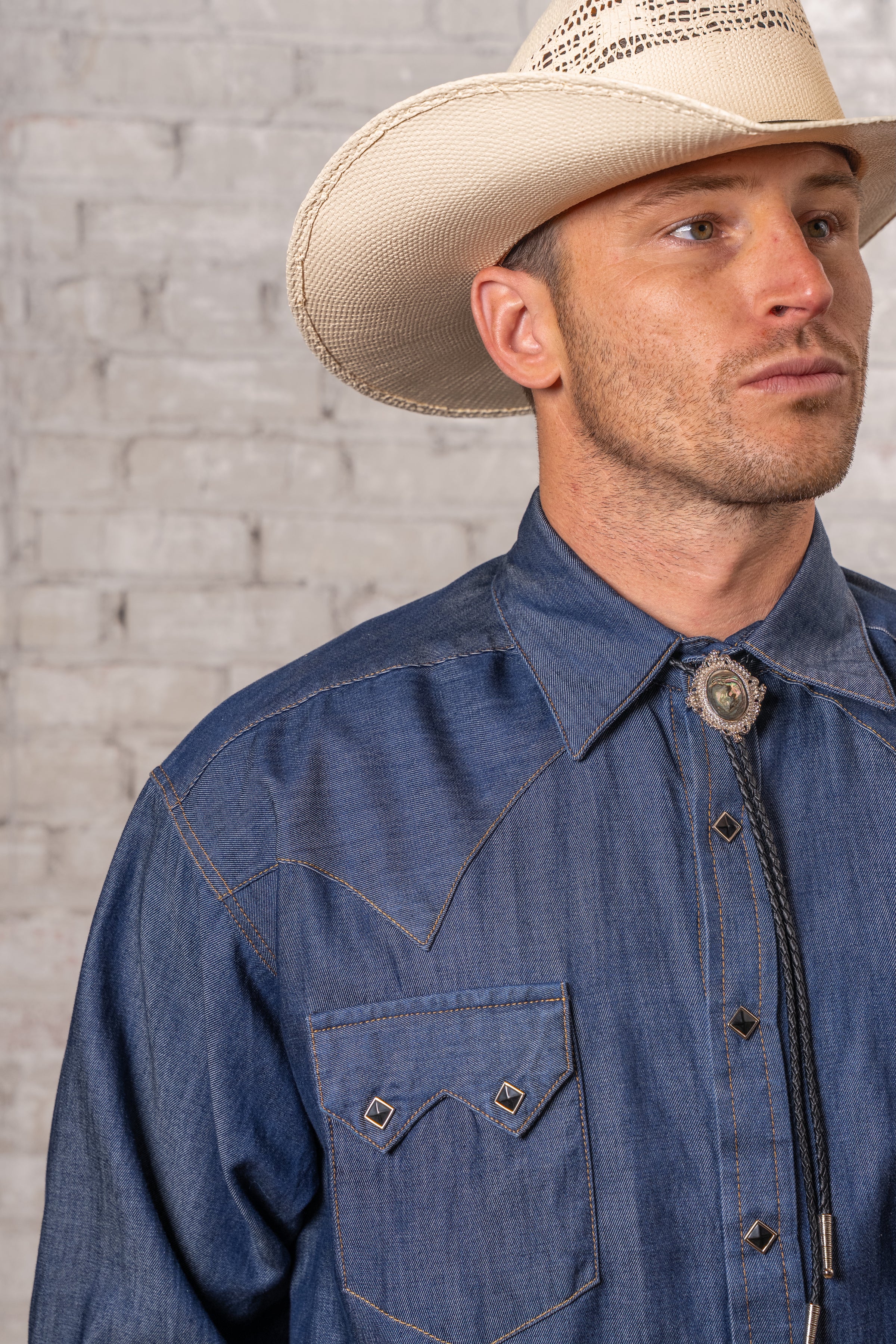 Men's Tencel Denim Sawtooth Western Shirt