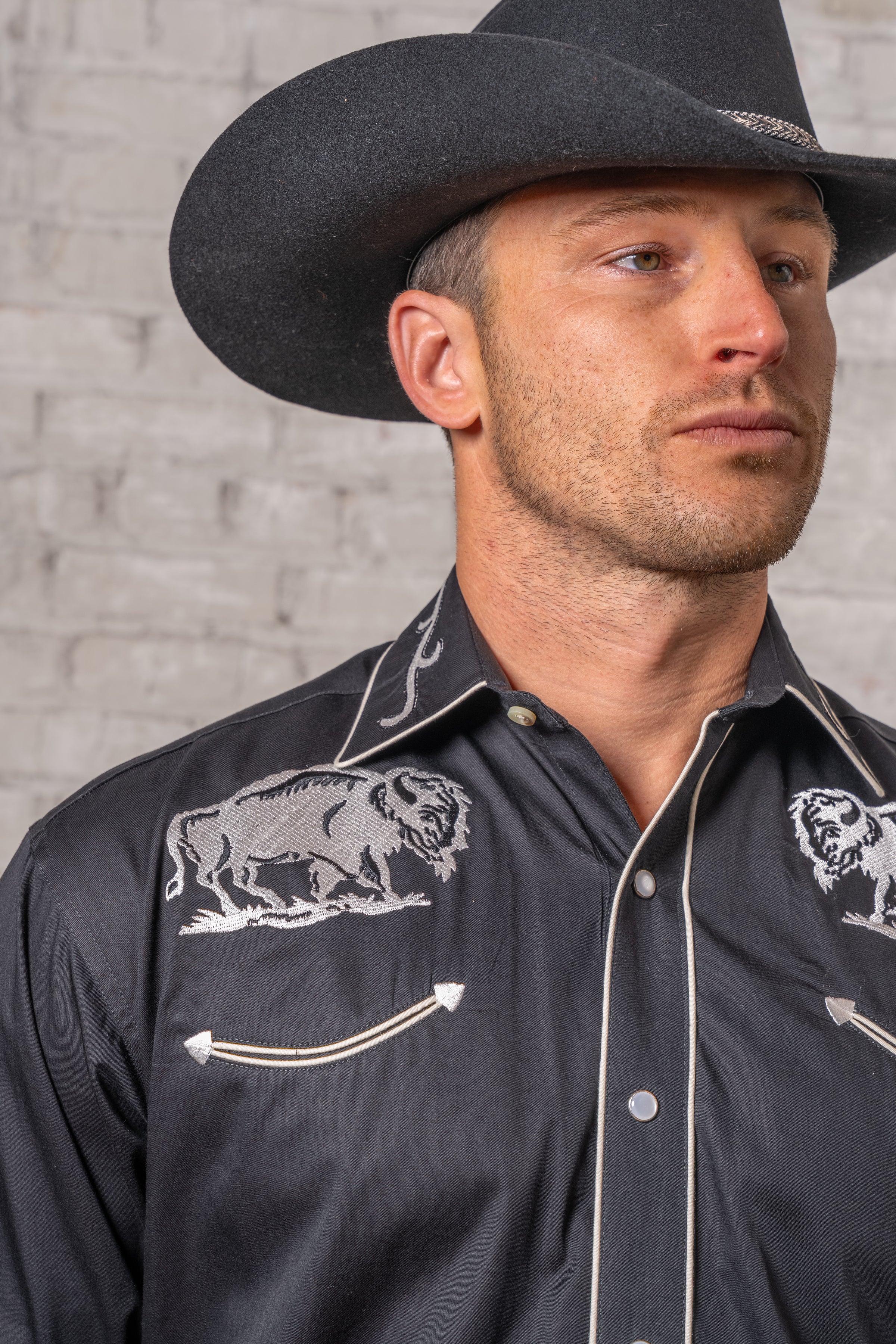 Men's Vintage Black American Bison Embroidered Western Shirt