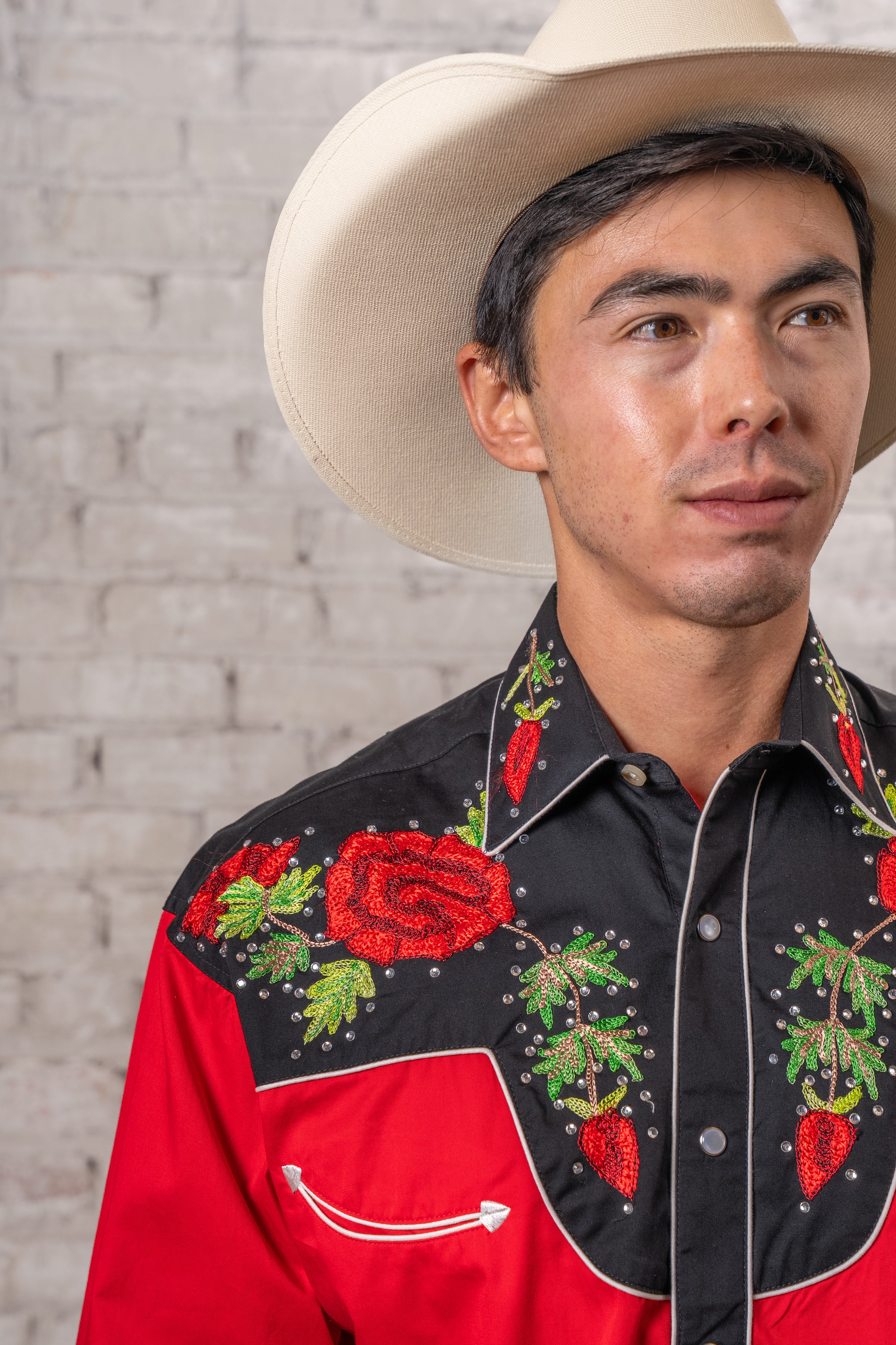 Men's Vintage 2-Tone Red Roses Embroidered Western Shirt