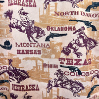 Men's Vintage Brown States Western Shirt