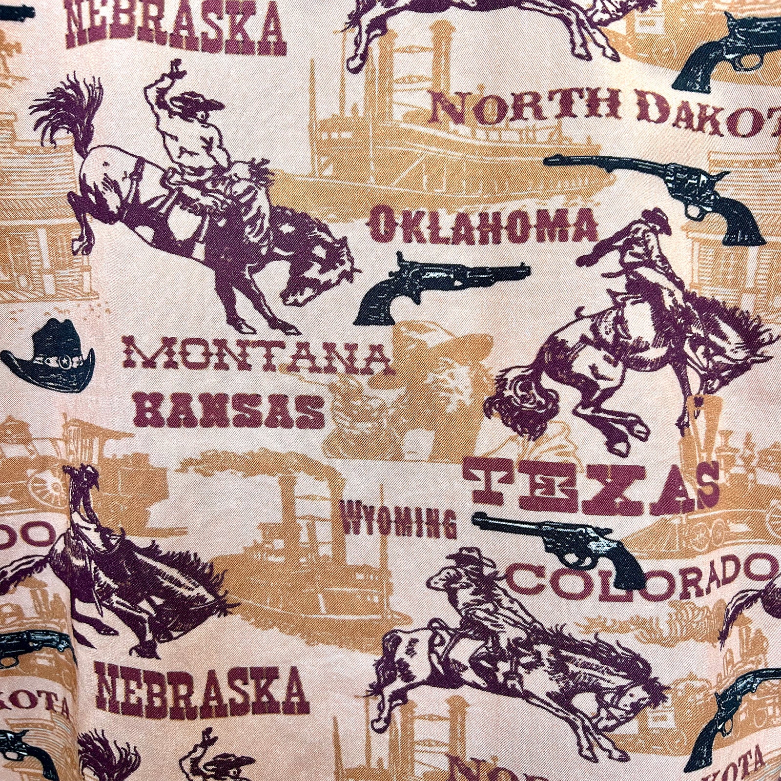 Men's Vintage Brown States Western Shirt