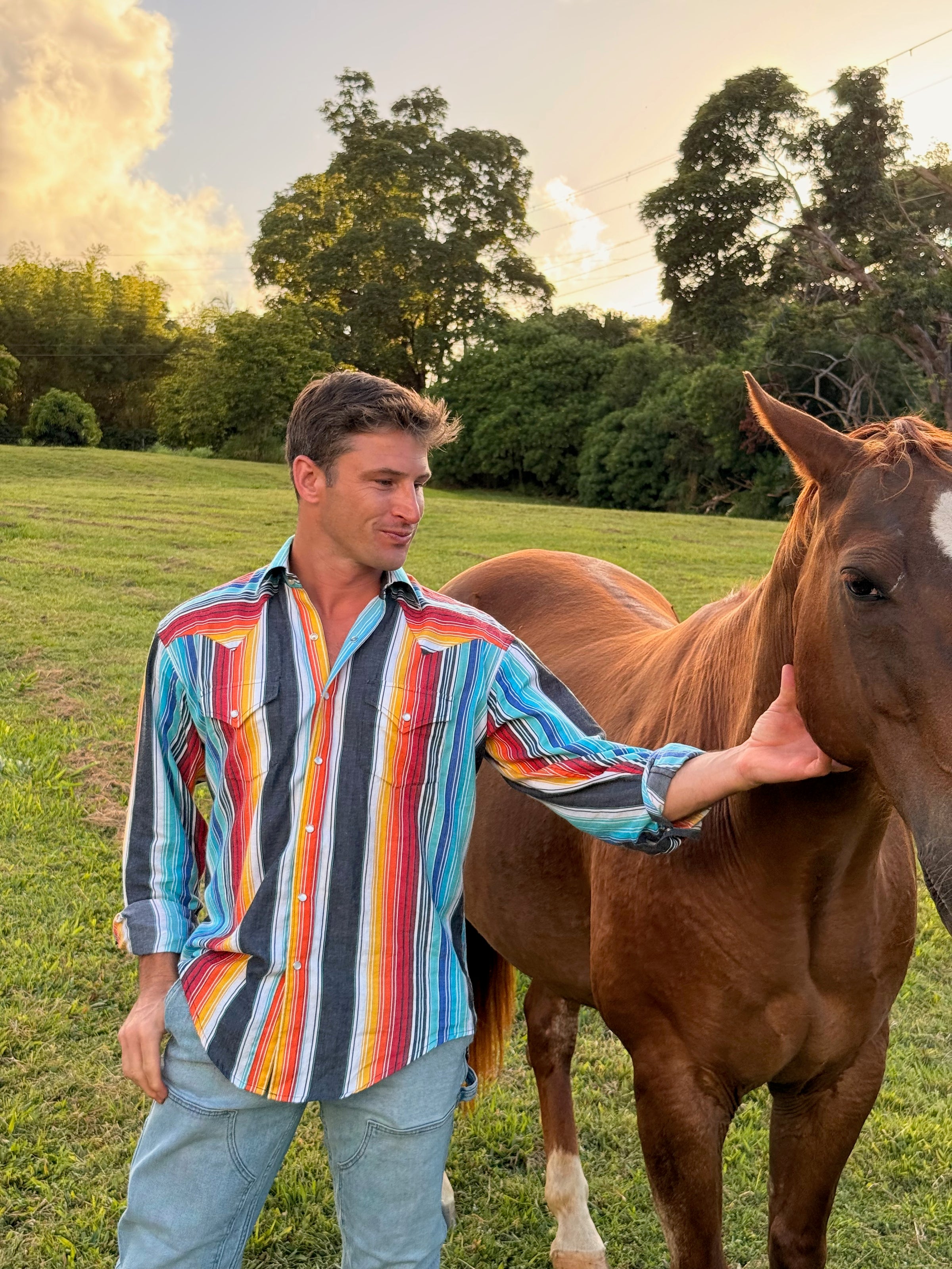 Men's Vintage Serape Stripe Western Shirt