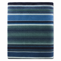Striped Pattern Fleece Western Blanket in Blue